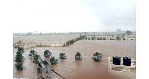 વાવાઝોડાથી  અમરેલીમાં તબાહી: ઉનામાં 3 દિવસથી અંધારપટ, અમરેલીના 500થી વધુ ગામોમાં હજુ અંધારપટ, 100થી વધુ રસ્તા હજુ બંધ : બાબરા પંથકમાં વાવાઝોડાથી અંદાજે 600  ચકલીનાં મોત