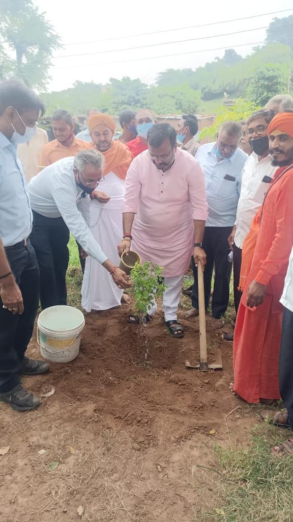 અરવલ્લીમાં વાવડી દૂધ મંડળી દ્વારા વૃક્ષારોપણ કાર્યક્રમ