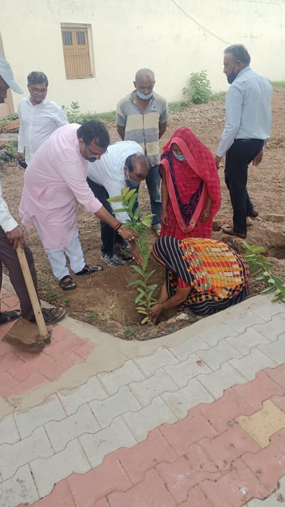 અરવલ્લીમાં વાવડી દૂધ મંડળી દ્વારા વૃક્ષારોપણ કાર્યક્રમ
