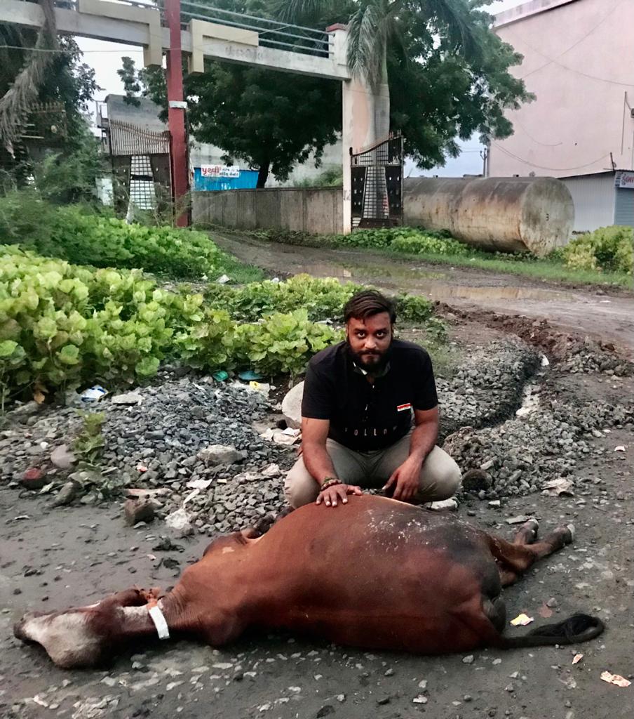 આપના કોર્પોરેટરના વરાછાથી વેલંજા સુધી બેનર લાગ્યા, કોર્પોરેટર ભાવના સોલંકી અને અલ્પેશ પટેલ ગુમ થયેલ છે!!!