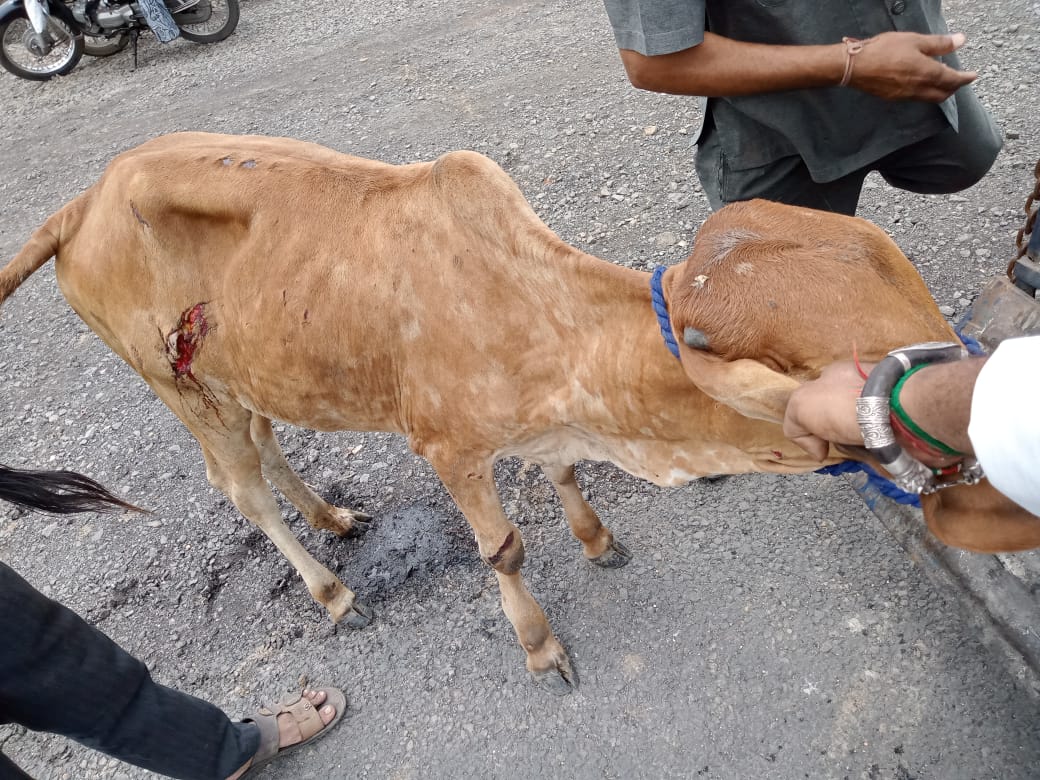 આપના કોર્પોરેટરના વરાછાથી વેલંજા સુધી બેનર લાગ્યા, કોર્પોરેટર ભાવના સોલંકી અને અલ્પેશ પટેલ ગુમ થયેલ છે!!!