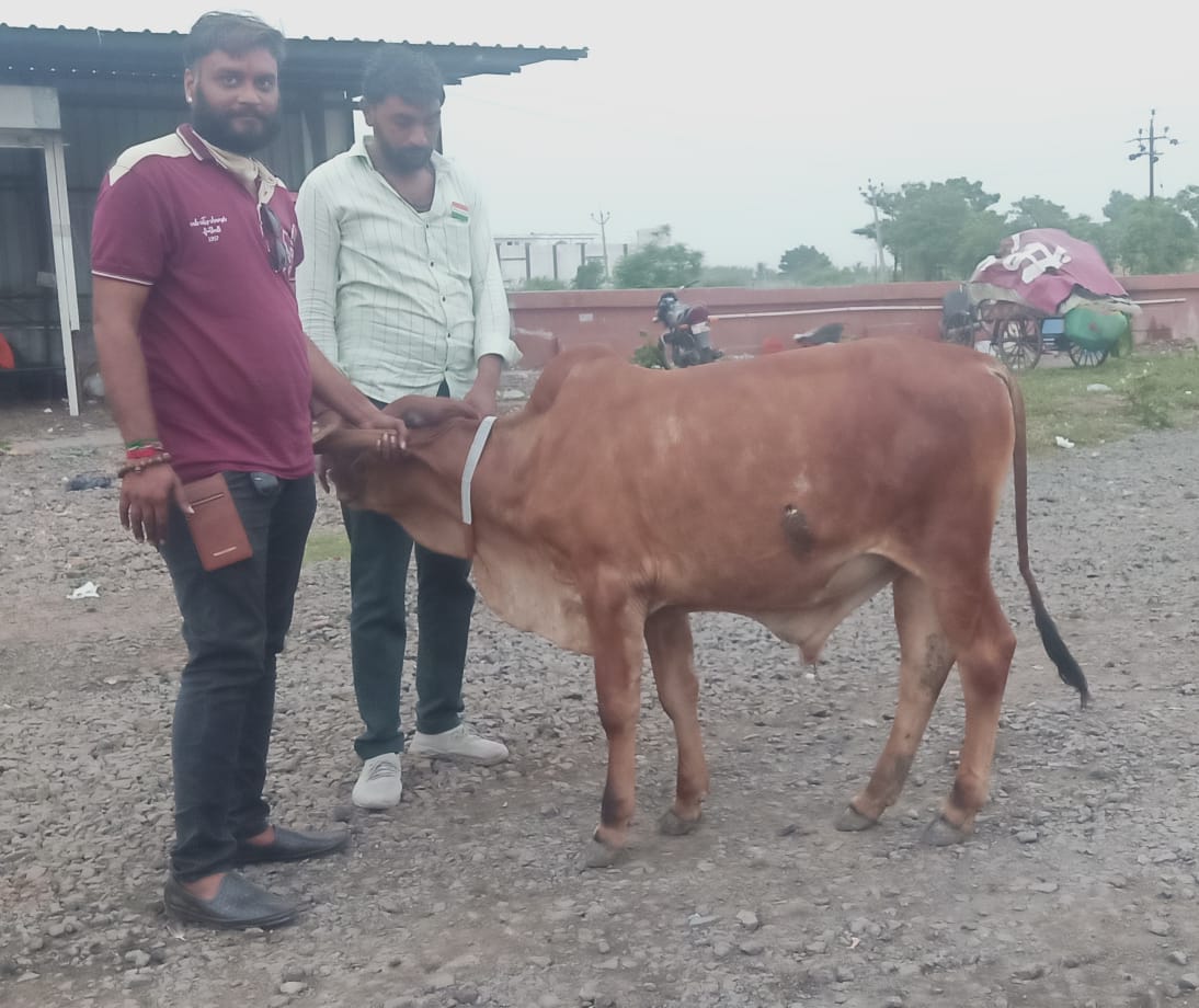 આપના કોર્પોરેટરના વરાછાથી વેલંજા સુધી બેનર લાગ્યા, કોર્પોરેટર ભાવના સોલંકી અને અલ્પેશ પટેલ ગુમ થયેલ છે!!!