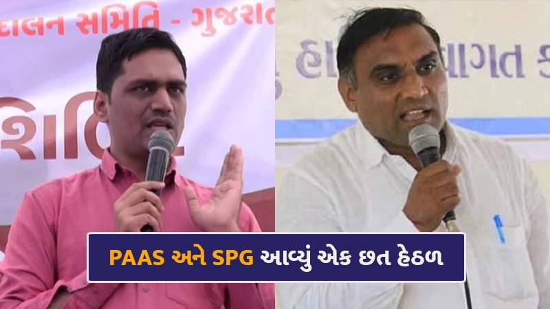 ફરી પાટીદાર અનામત આંદોલનના ભણકારા, 2022ની ચૂંટણી પહેલા પાટીદાર યુવાનો ફરી એક્શનમાં, PAAS-SPG એક થઈને કરશે આ કામ