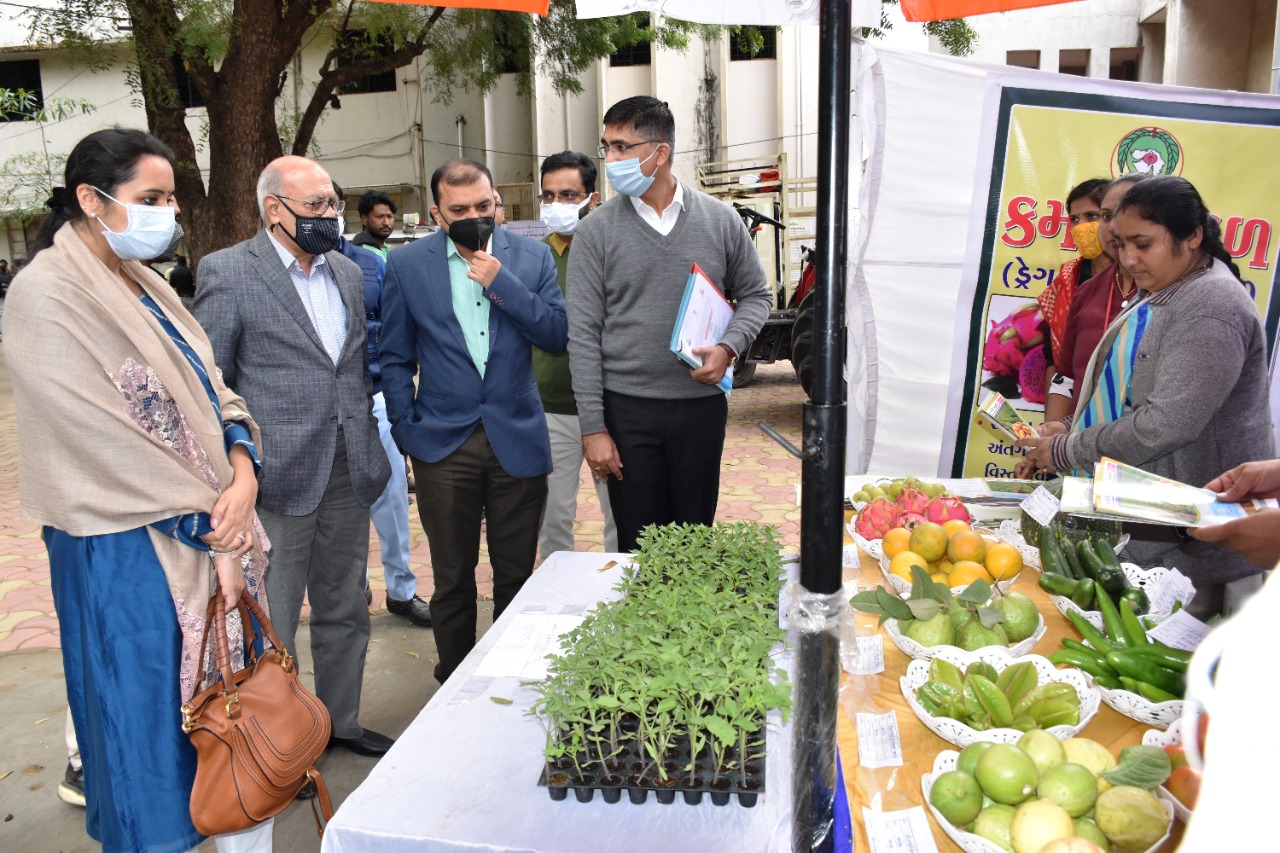 અરવલ્લી મોડાસાના ભામાશા હોલ ખાતે રાજ્ય બિન અનામત વર્ગના ઉપાધ્યક્ષ અધ્યક્ષતામાં સુશાસન દિવસની ઉજવણી કરાઈ