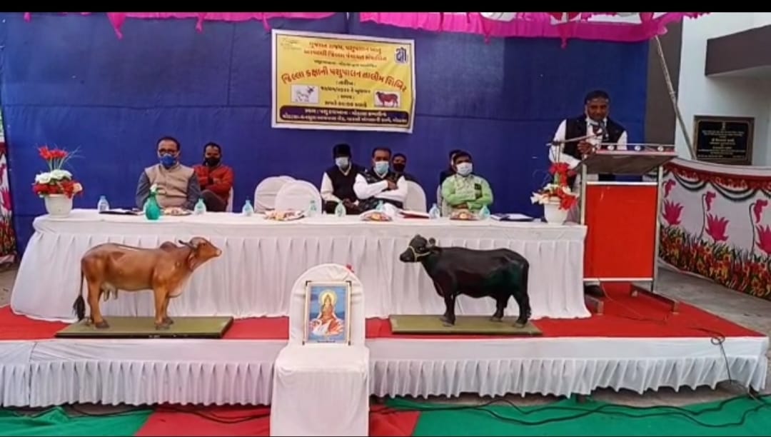 અરવલ્લી જિલ્લા પશુ સુધારણા યોજના અંતર્ગત અરવલ્લી પશુપાલન કચેરી દ્વારા મોડાસા પશુ દવાખાના ખાતે જિલ્લા કક્ષાની પશુ તાલીમ શિબિર યોજાઈ