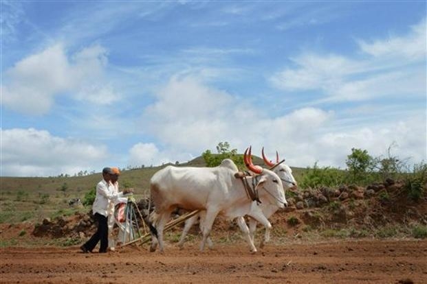 ખેડૂતો માટે ખુશખબર, દર મહિને મળશે 3 હજાર રૂપિયા, આ રીતે કરો રજીસ્ટ્રેશન