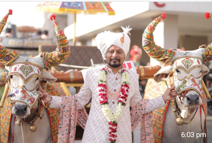 સુરતમાં અનોખી જાન: વરરાજા બળદગાડામાં, જાનૈયા મોંઘીદાટ કારમા માંડવે પહોંચ્યા, જય જવાન -  જય કિસાનના નાદ સાથે દેશ ભકિતના સુરે અનોખા લગ્ન યોજાયા