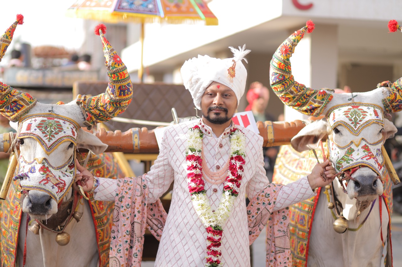 સુરતમાં અનોખી જાન: વરરાજા બળદગાડામાં, જાનૈયા મોંઘીદાટ કારમા માંડવે પહોંચ્યા, જય જવાન -  જય કિસાનના નાદ સાથે દેશ ભકિતના સુરે અનોખા લગ્ન યોજાયા