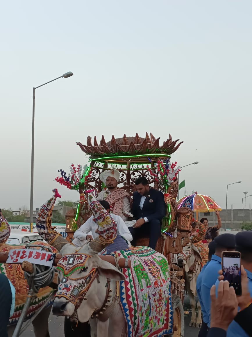 સુરતમાં અનોખી જાન: વરરાજા બળદગાડામાં, જાનૈયા મોંઘીદાટ કારમા માંડવે પહોંચ્યા, જય જવાન -  જય કિસાનના નાદ સાથે દેશ ભકિતના સુરે અનોખા લગ્ન યોજાયા