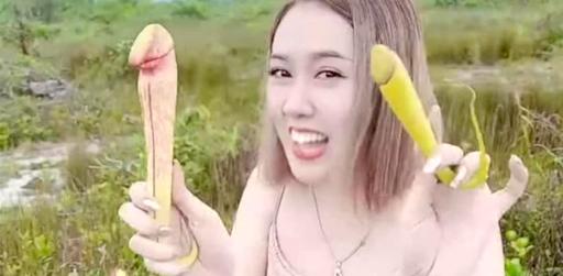 આ દેશમાં પુરુષોના પ્રાઈવેટ પાર્ટનો છોડ ઉગે છે, તેની ખૂબ ચર્ચા થઈ રહી છે