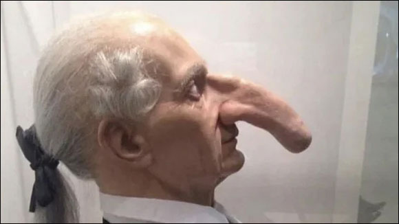 1711-2022-long-nose